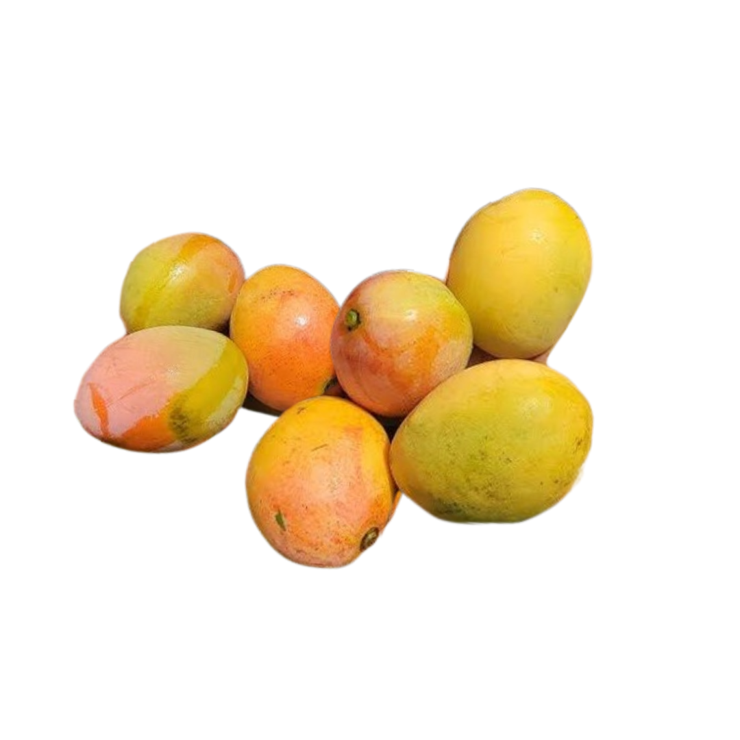 Mango Ciruela/Mango de chupar 6 unidades (Producto depende de la Temporada)